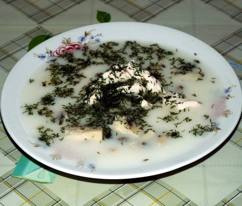 Суп из шампиньонов и куриной грудкой Суп из шампиньонов и куриной грудкой